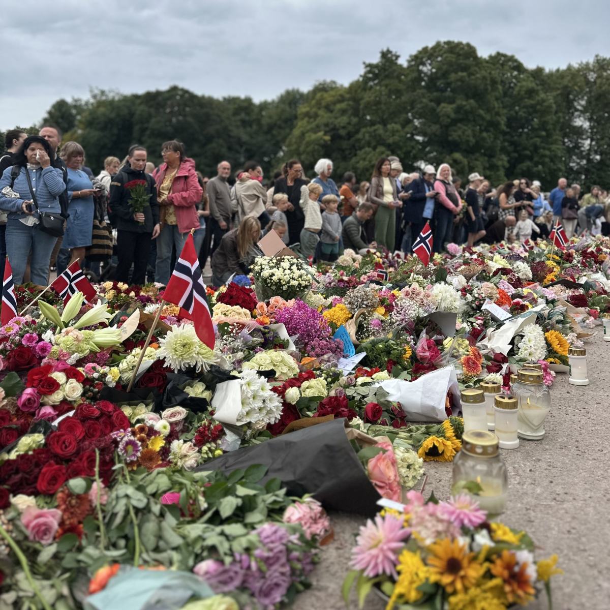 Et hav av blomster foran slottet i forbindelse med kong Haralds død 28.08.2026.