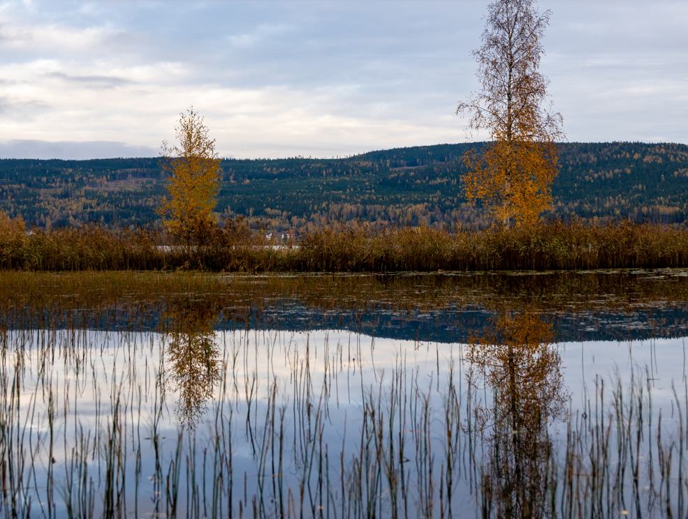 Toppbilde fra Hurdalsplattformen