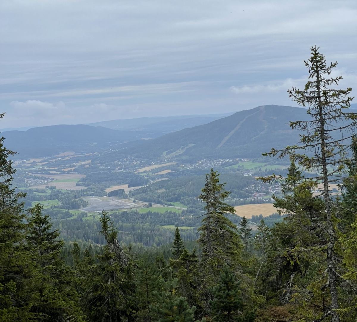 Utsikt mot Varingskollen sommertid