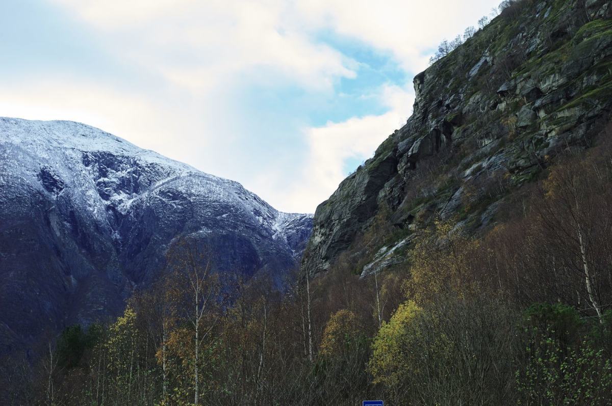 I forgrunnen ser vi skogen som glir over i et berg, i bakgrunnen ligger et blått og snøkledd fjell som glir over i himmelen. Foto: Øivind Haug