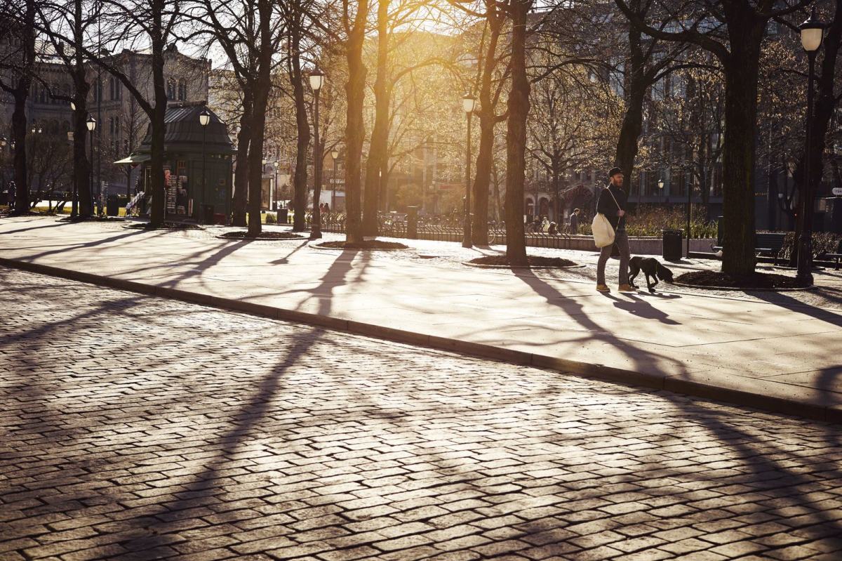 Sola trenger seg gjennom trærne på Spikersuppa, en mann og hans hund går forbi. Foto: Øivind Haug