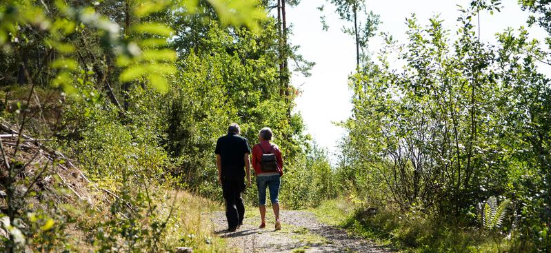 på tur i skogen