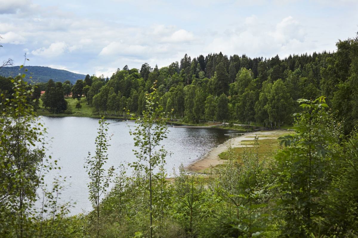 Oversiktsbilde av et rolig skogsvann, omgitt av trær. Foto: Øivind Haug