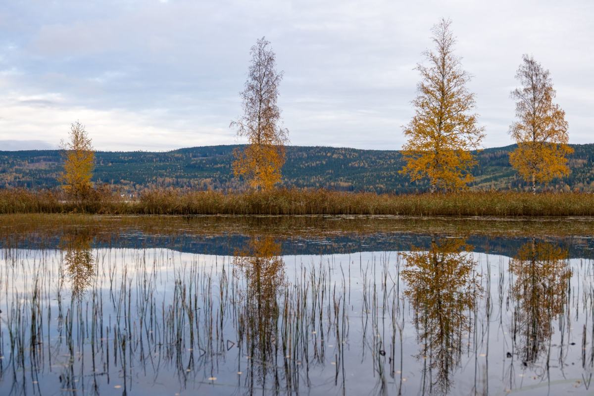 Hurdalsjøen