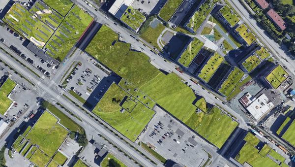 Tak på Lade som er beplantet, fra asfaltjungel til flotte grøntareal.