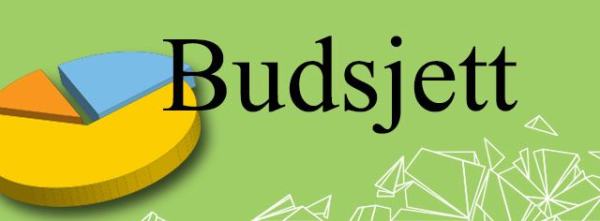 Budsjett logo