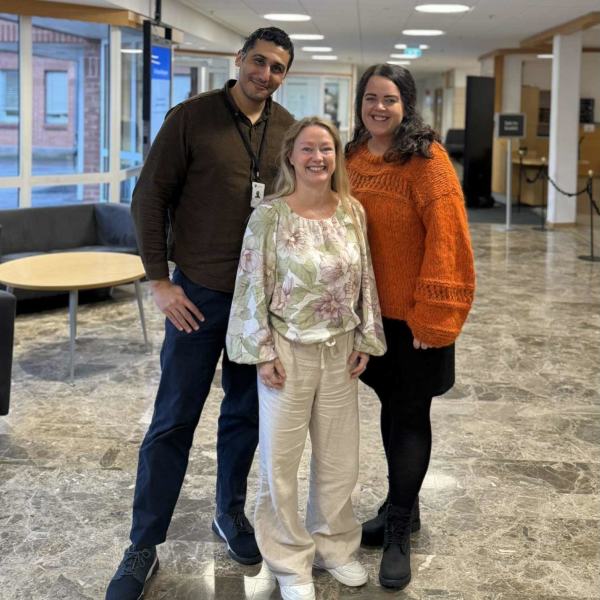 Desire, Hamza og Gry