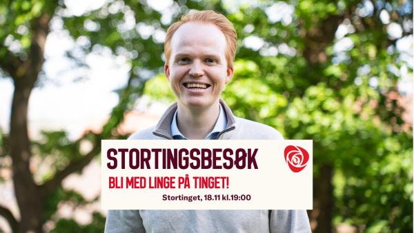 Cover foto for Stortingsbesøk