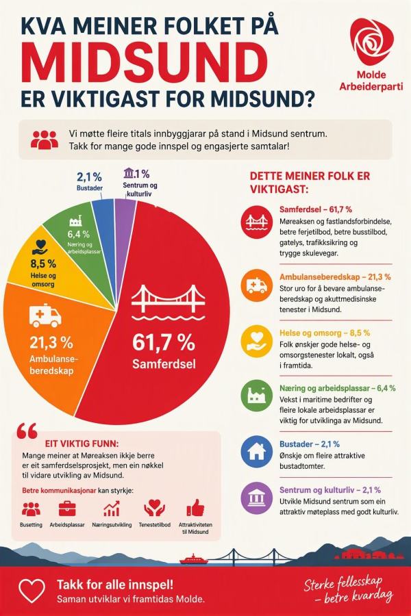 Ei grafisk framstilling viser at samferdsel og mobilitet var mest viktig, med 61 prosent. Nest størst var ambulansetjeneste med 21 prosent.