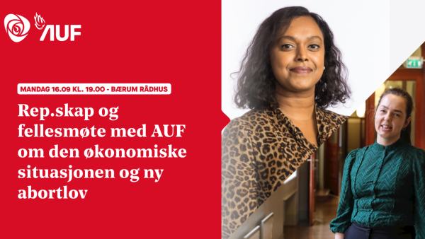 Coverbilde for rep.skap og fellesmøte med AUF om den økonomiske situasjon og ny abortlov