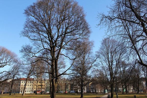 Park på Grünerløkka