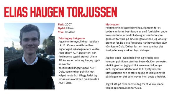 Elias Torjussen stiller til valg