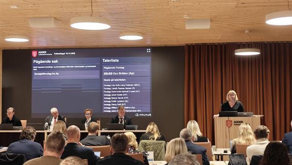 Fylkestingets budsjettmøte 2025