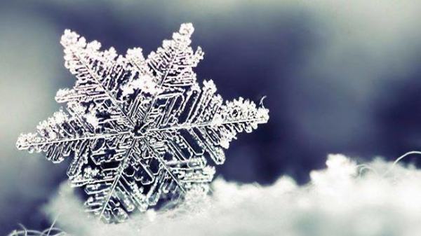 Vinter