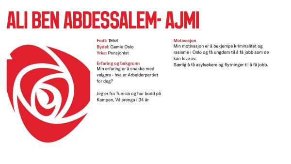 Ali Ajmi stiller til valg