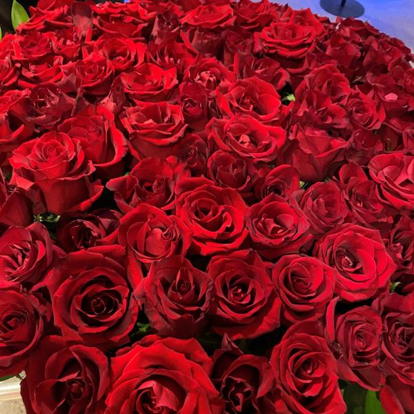 Rosa symboliserer solidaritet og fridom