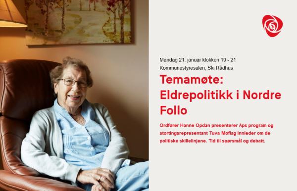 Temamøte 2019-01-21