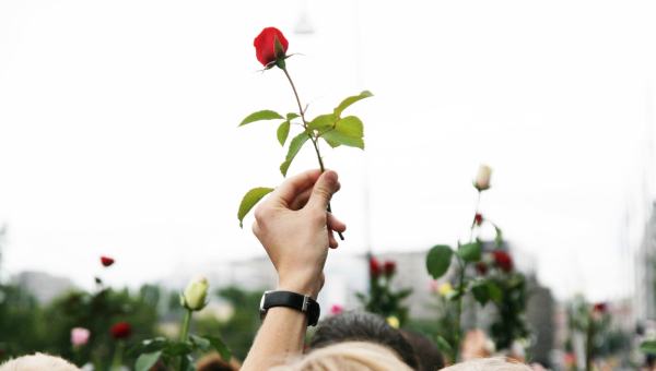 Rosetog 22 juli markering (lånt av aldrimer22juli.no)
