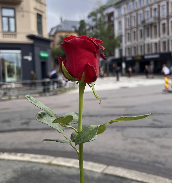 Sammen for trygghet: luftvern for oslo – beskyttelse med Frogner Ap's kraft 