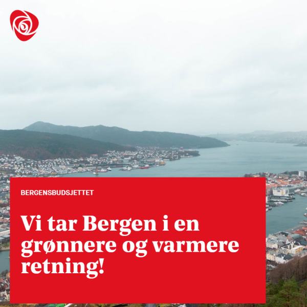 Bilde av bergen tatt fra fløyen