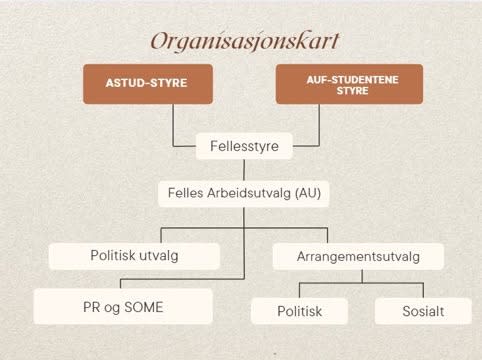 organisasjonskartet viser at det er to styrer i Astud Oslo og AUF-studentene Oslo som utgjør et fellesstyret. Under fellesstyret er det et felles arbeidsutvalg (AU). Fellesstyret har også ansvar for å organisere et politisk utvalg, et PR og sosiale medier-utvalg og et arrangementsutvalg som fokuserer på både politiske og sosiale arrangementer.