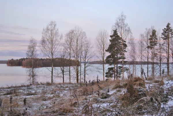 original_1478643808_970776