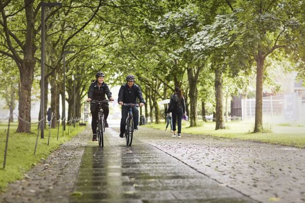 To syklister sykler gjennom en allé i regnet. Foto: Øivind Haug