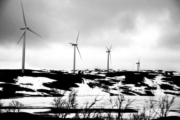 Vindmøller i reinbeiteområder.