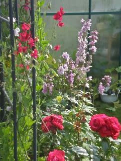 Blomster
