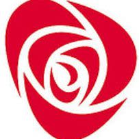 rose_1483631393_2727787