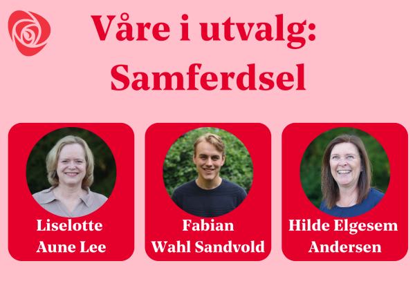 Våre i utvalg for samferdsel