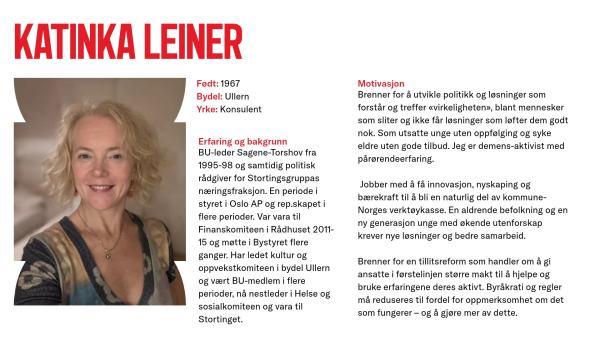 Katinka Leiner stiller til valg