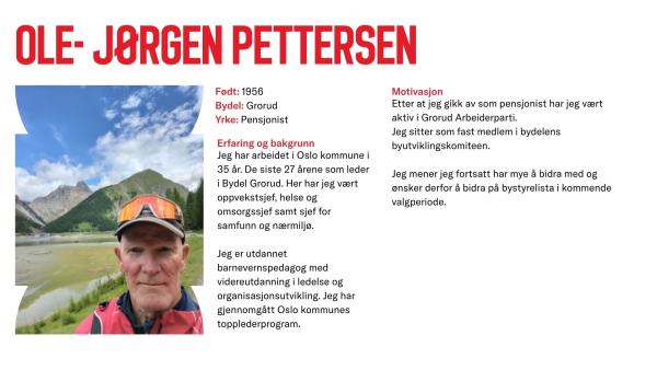 Ole Jørgen Pettersen stiller til valg
