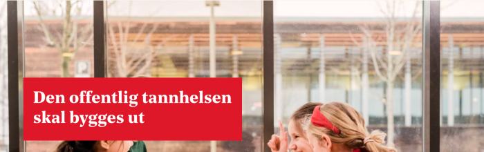 100dagersplan
