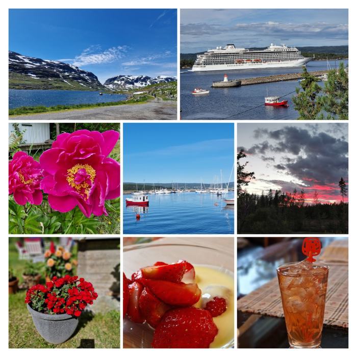 sommerbilder