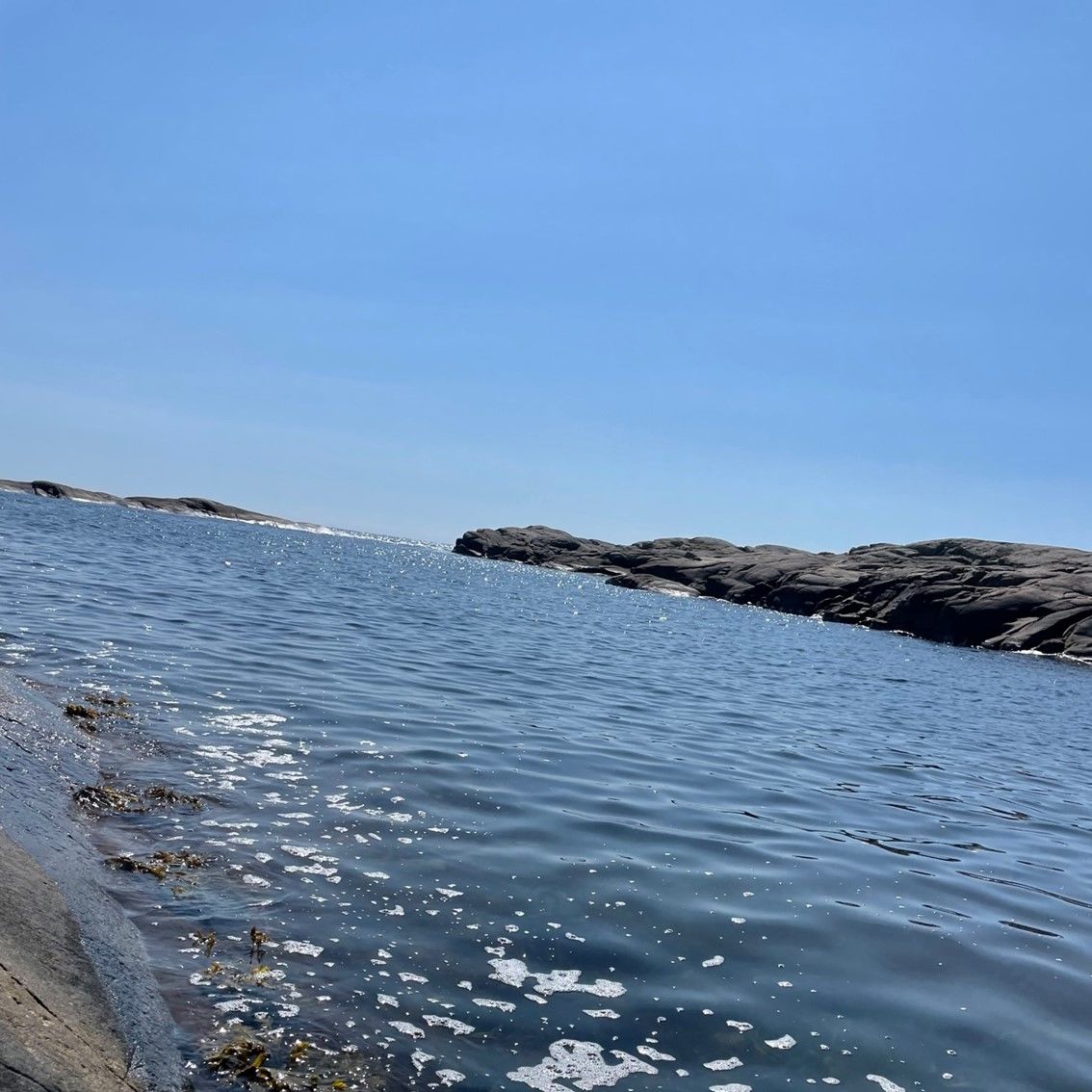 Skjærgård