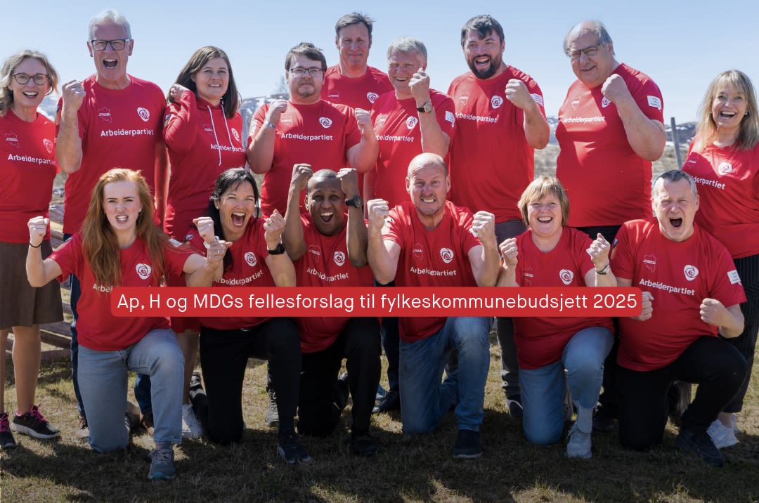 Fylkestingsgruppa til Innlandet Arbeiderparti