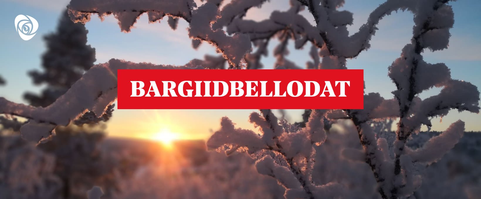 Bargiidbellodat