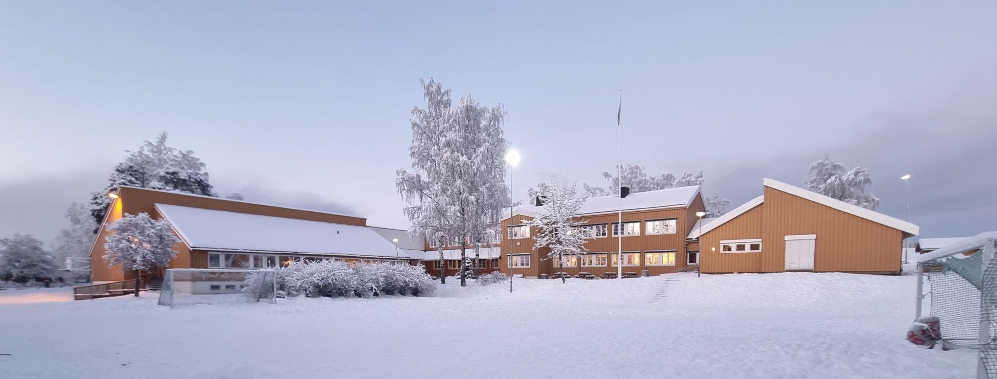skole