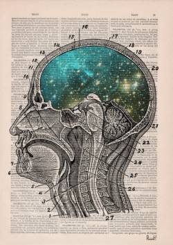 ArboLife-events-cindy-ansermoz-cours-de-base-anatomie-physiologie