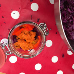 ArboLife-events-econest-lactofermentation