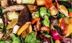 ArboLife-events-Atelier-EcoCrea-antigaspi