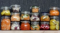 ArboLife-events-nutricoach-atelier-lactofermentation