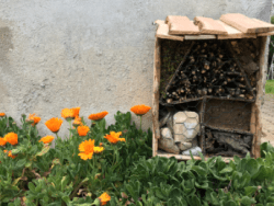 ArboLife-events-Atelier-EcoCrea-Insectes-au-jardin