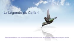 ArboLife-events-Softweb-Colibri-1038x584
