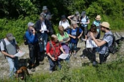 ArboLife-events-into-the-nature-14-05-18