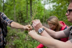 ArboLife-events-Into-the-nature-ballade-foret