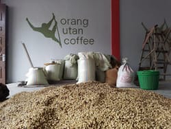 ArboLife-events-Magasin-du-monde-Orang-Utan-Orang-Utan-Coffee