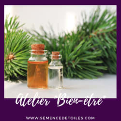 ArboLife-events-semence-etoiles-atelier-bien-etre