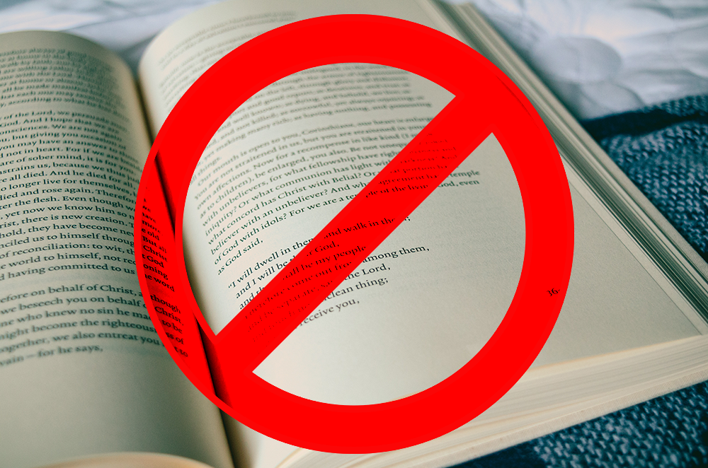 RPG is not a form of a novel